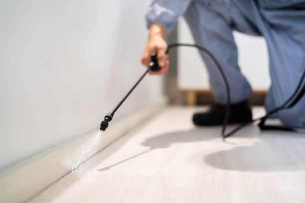 Bed Bug Pre-Treatment Preparation Assessment in Carroll