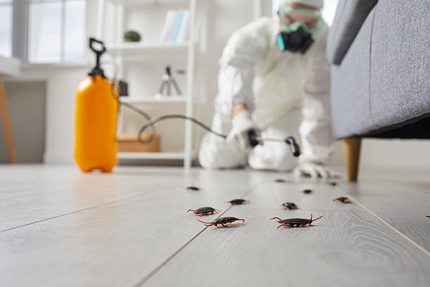 Post-Treatment Bed Bug Interceptor Monitoring in Carroll